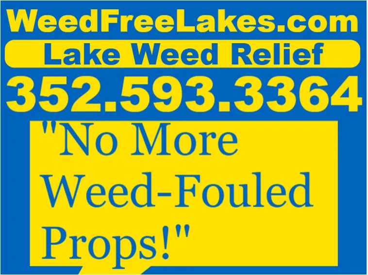 Affordable lawn mowing service in Leesburg, FL - Weed Free Lakes