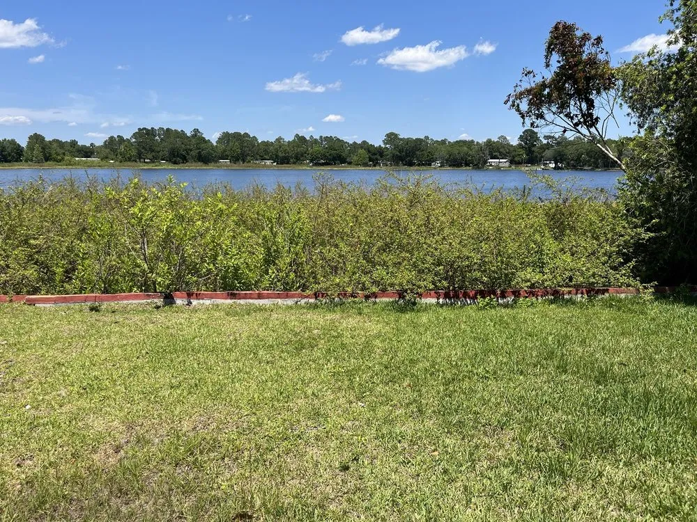 Custom yard cleanup service experts serving Leesburg, FL - Weed Free Lakes