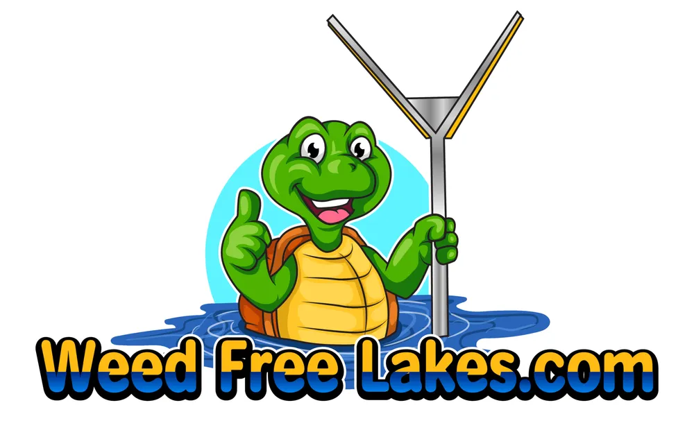 Top-rated yard cleanup service experts serving Leesburg, FL - Weed Free Lakes