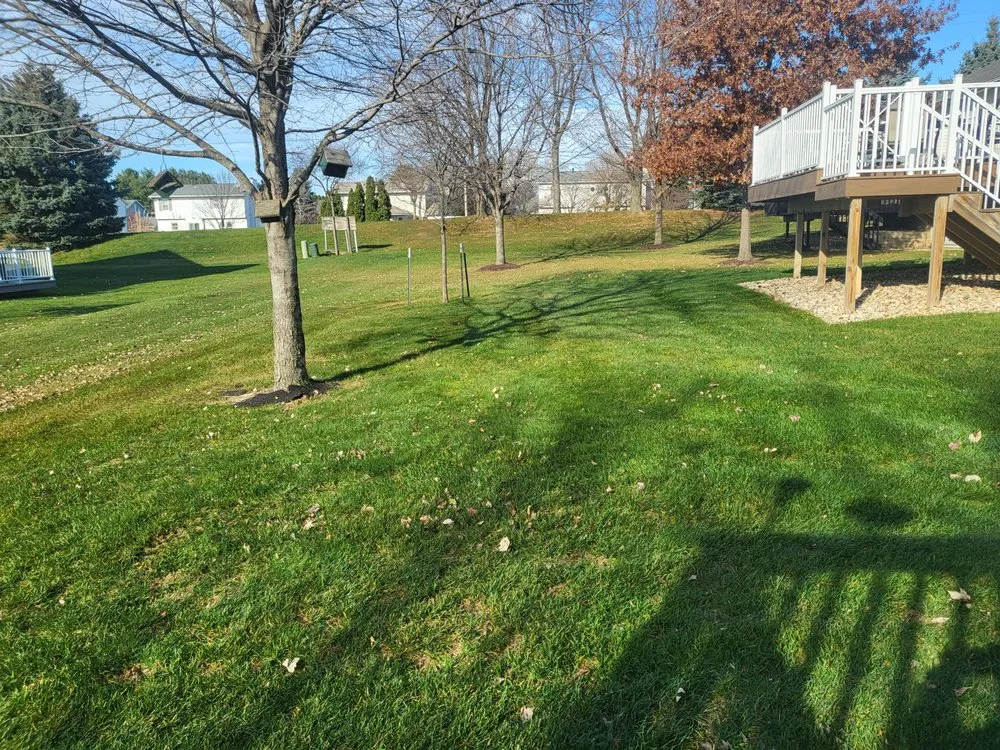 Affordable lawn care service in Normal, IL by Weed-It-Out