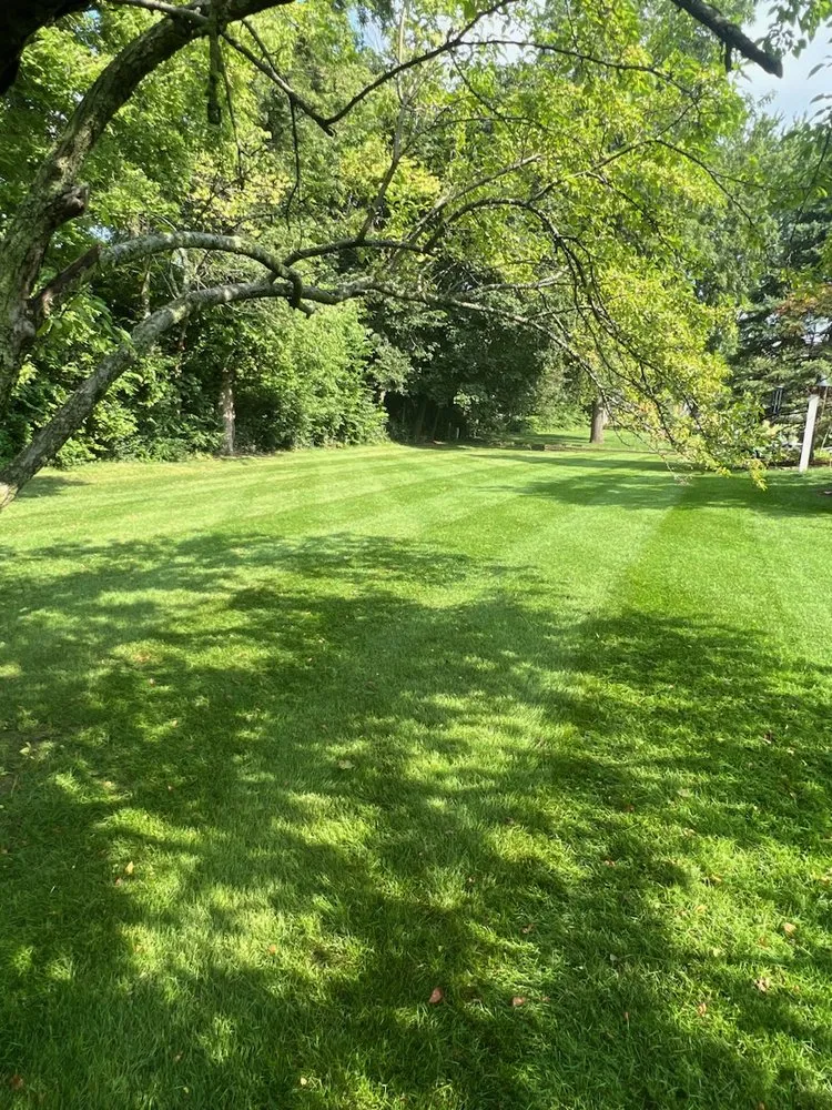 Expert outdoor landscaping experts serving Normal, IL - Weed-It-Out