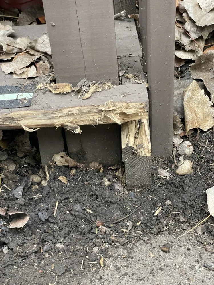 Trusted yard cleanup service in Alsip, IL by Weed Man