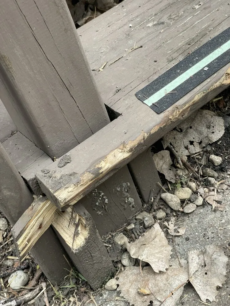 Expert yard cleanup service for year-round maintenance across Alsip, IL - Weed Man