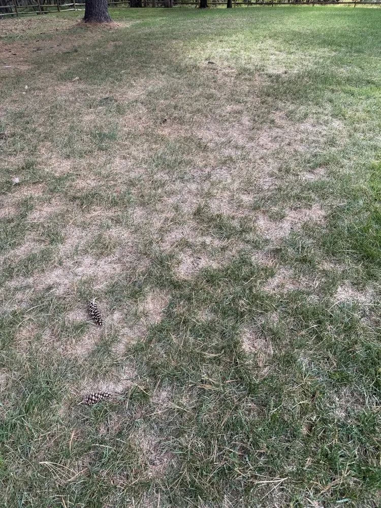 Expert residential landscaping for residential properties across Annapolis, MD - Weed Man