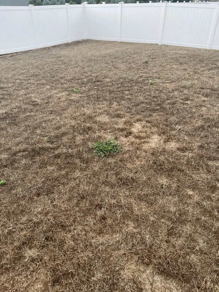 Expert yard maintenance with custom design in Appleton, WI by Weed Man