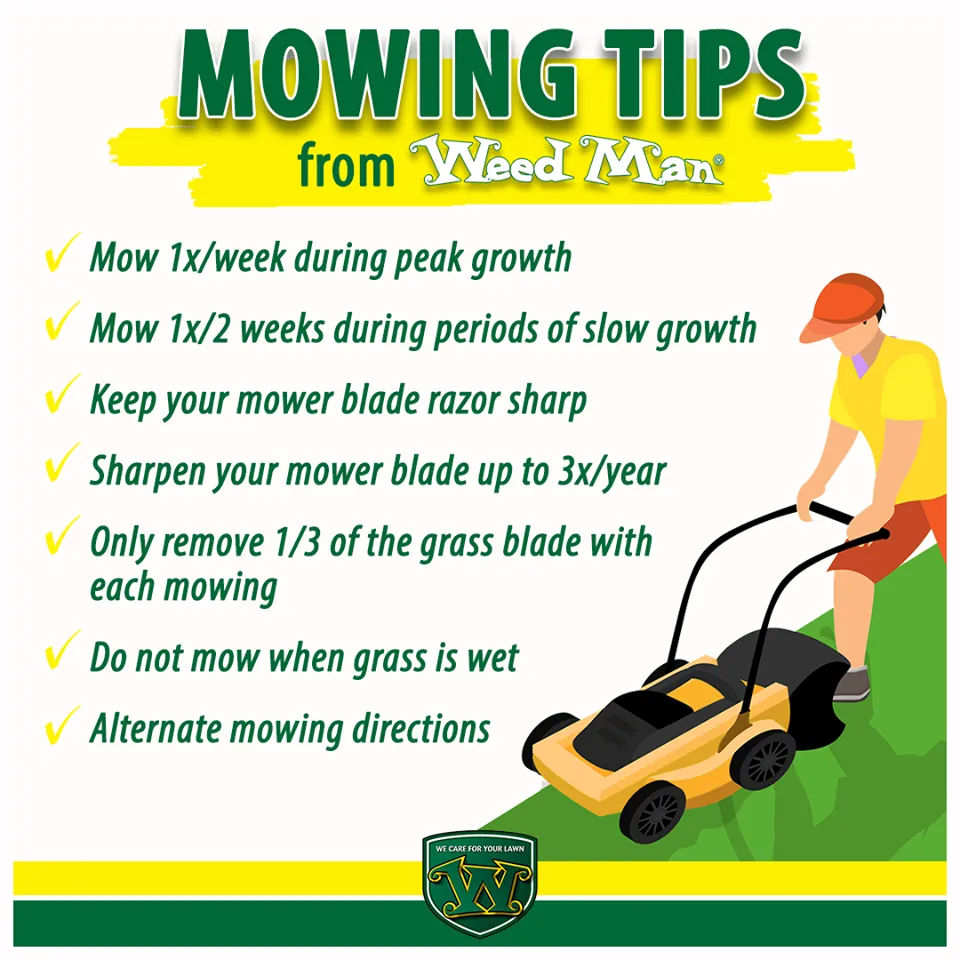 Professional outdoor landscaping for residential properties in Artois, CA by Weed Man