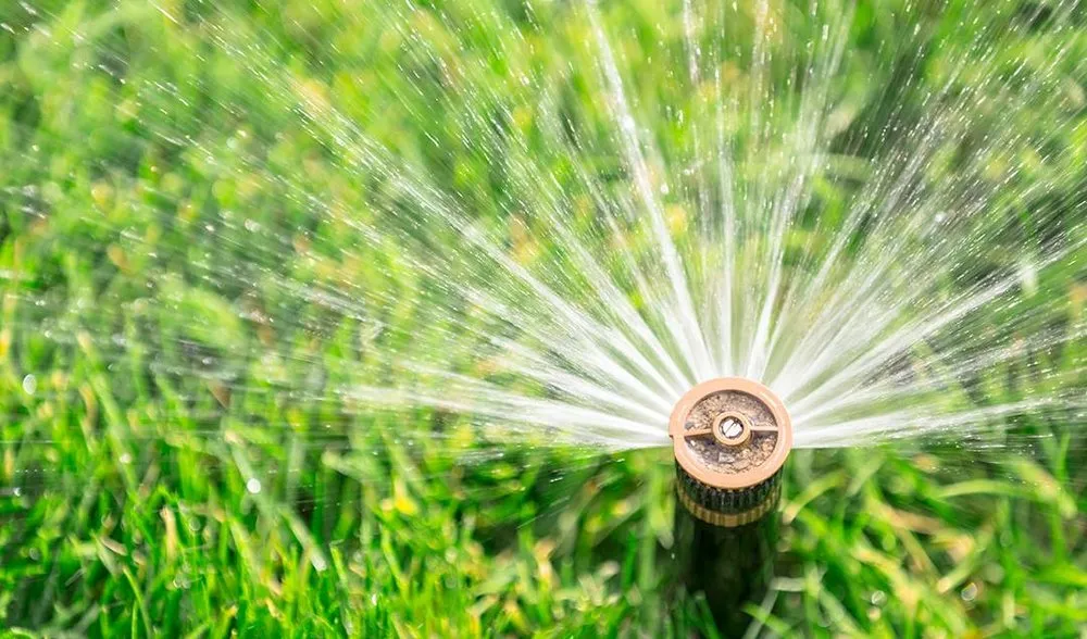 Custom yard cleanup service with custom design across Artois, CA - Weed Man