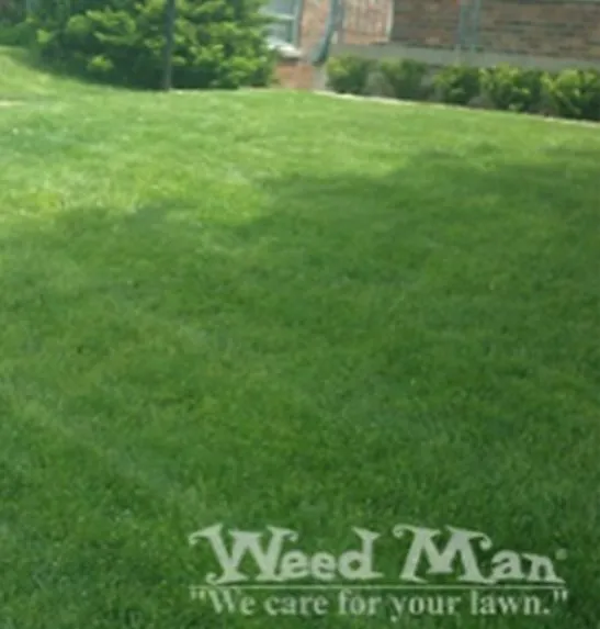 Custom landscape design for outdoor upgrades across Bridgeton, MO - Weed Man