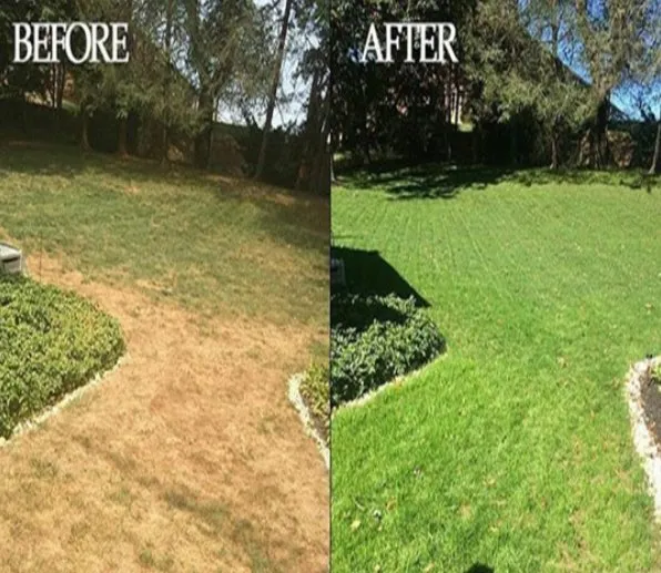 Reliable landscaping services in Bridgeton, MO by Weed Man