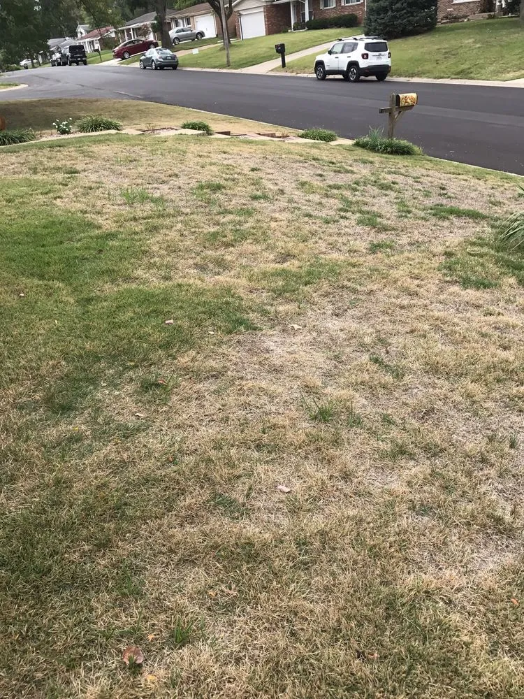 Top-rated outdoor landscaping near you across Bridgeton, MO - Weed Man