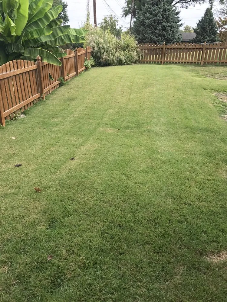 Trusted landscape design for outdoor upgrades in Bridgeton, MO by Weed Man