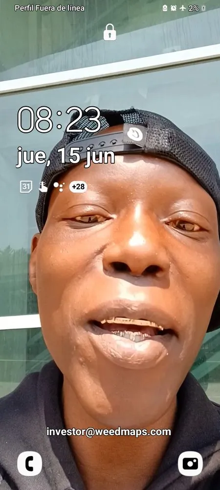 Professional yard cleanup service with custom design across Bridgeton, MO - Weed Man