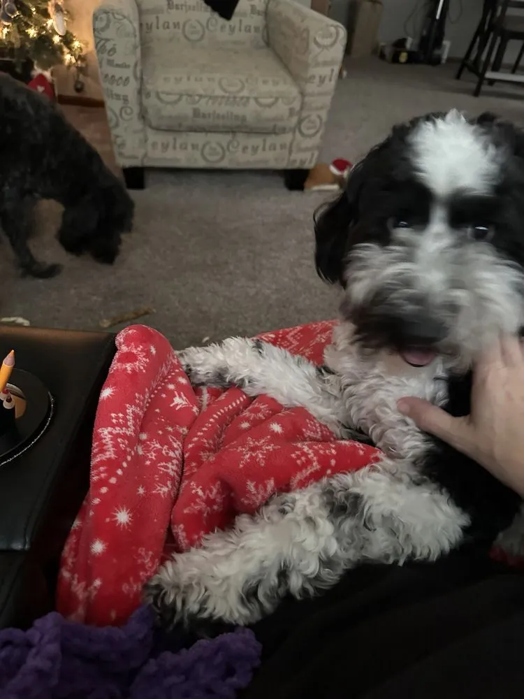 Custom residential landscaping near you across Brookfield, WI - Weed Man