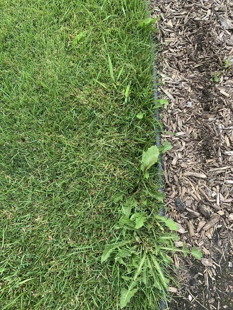 Reliable garden landscaping in Burnsville, MN by Weed Man