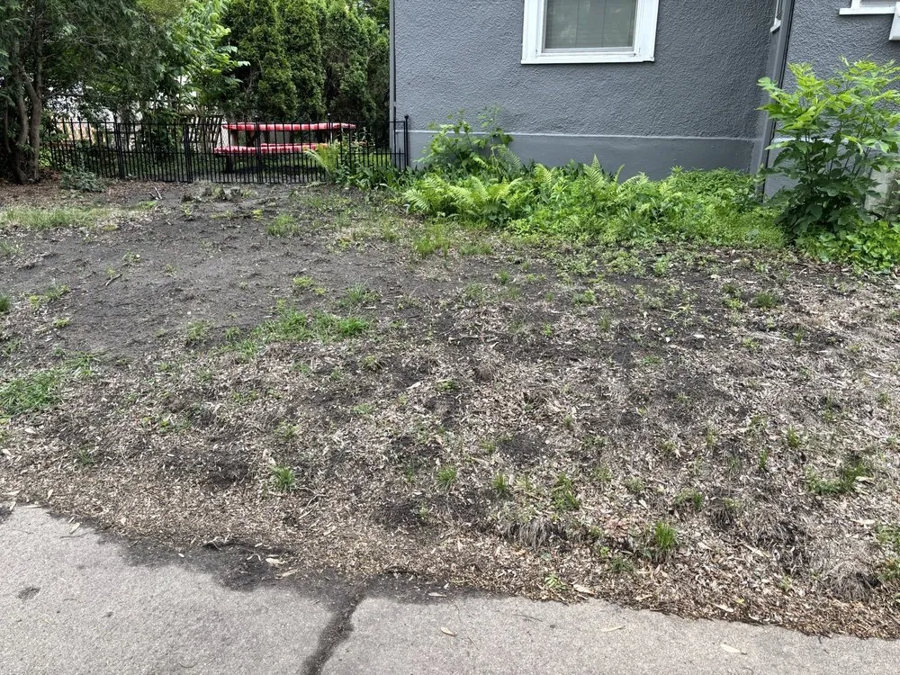 Top-rated garden landscaping in Burnsville, MN - Weed Man