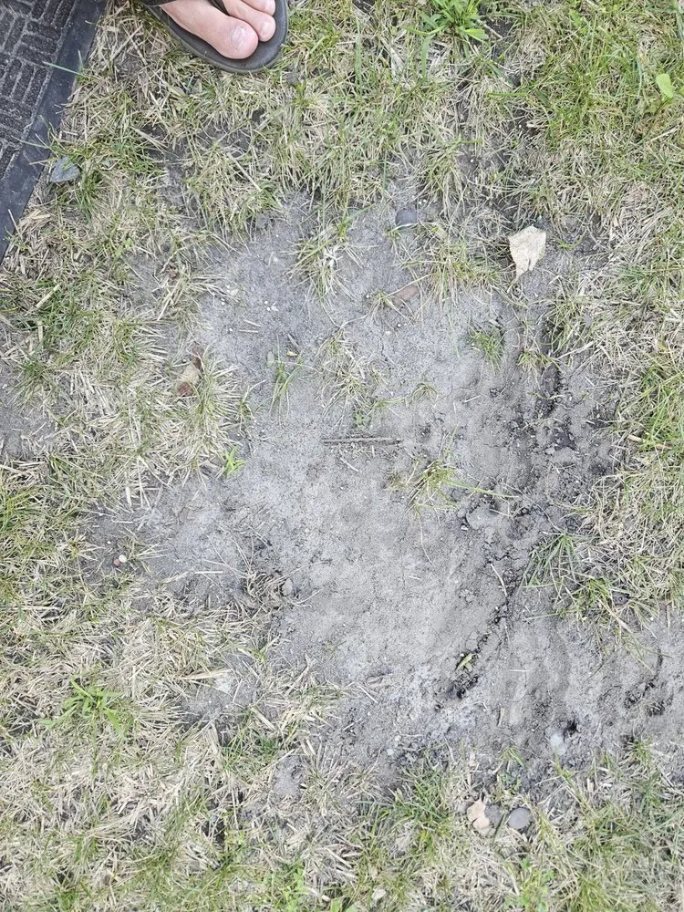 Affordable landscape design in Burnsville, MN by Weed Man