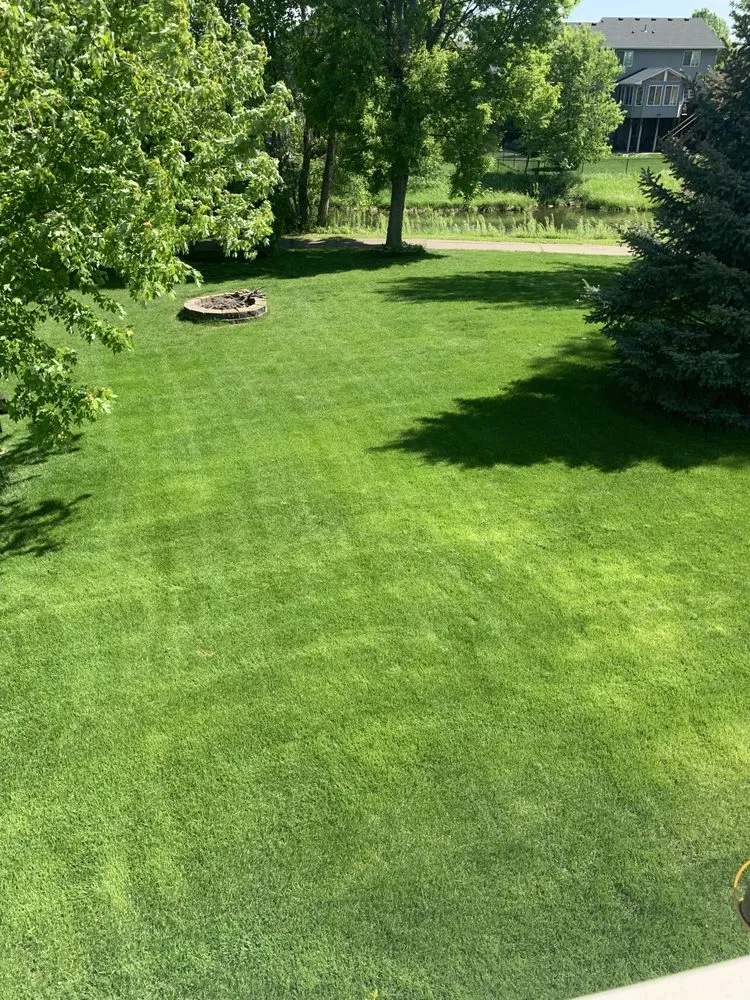 Professional lawn care service for residential properties in Burnsville, MN by Weed Man