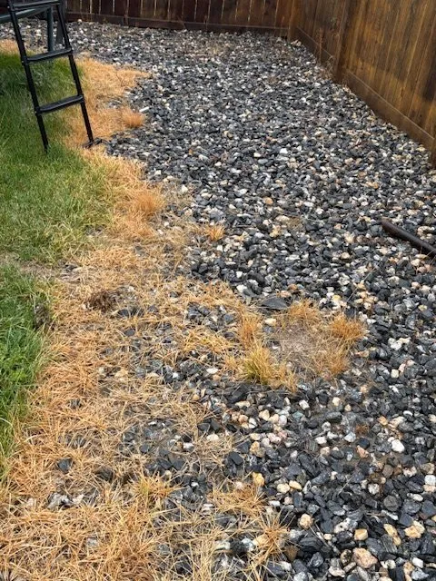 Affordable lawn care service for homes in Centennial, CO by Weed Man