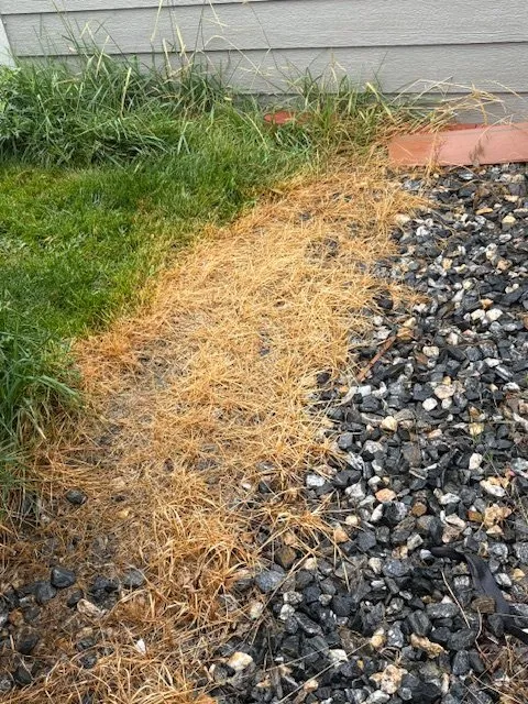 Top-rated residential landscaping in Centennial, CO by Weed Man