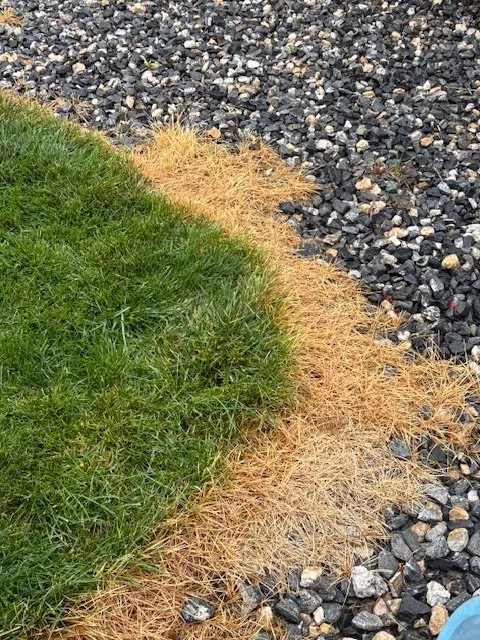 Reliable lawn care service experts serving Centennial, CO - Weed Man