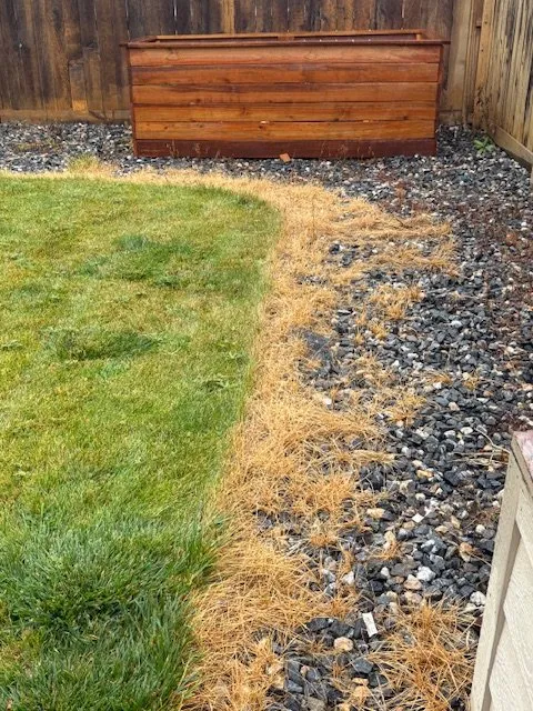 Reliable lawn mowing service near you across Centennial, CO - Weed Man