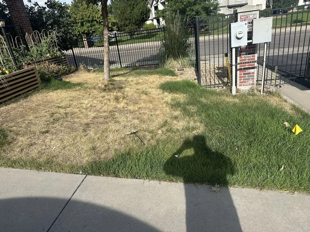 Top-rated lawn mowing service in Centennial, CO by Weed Man