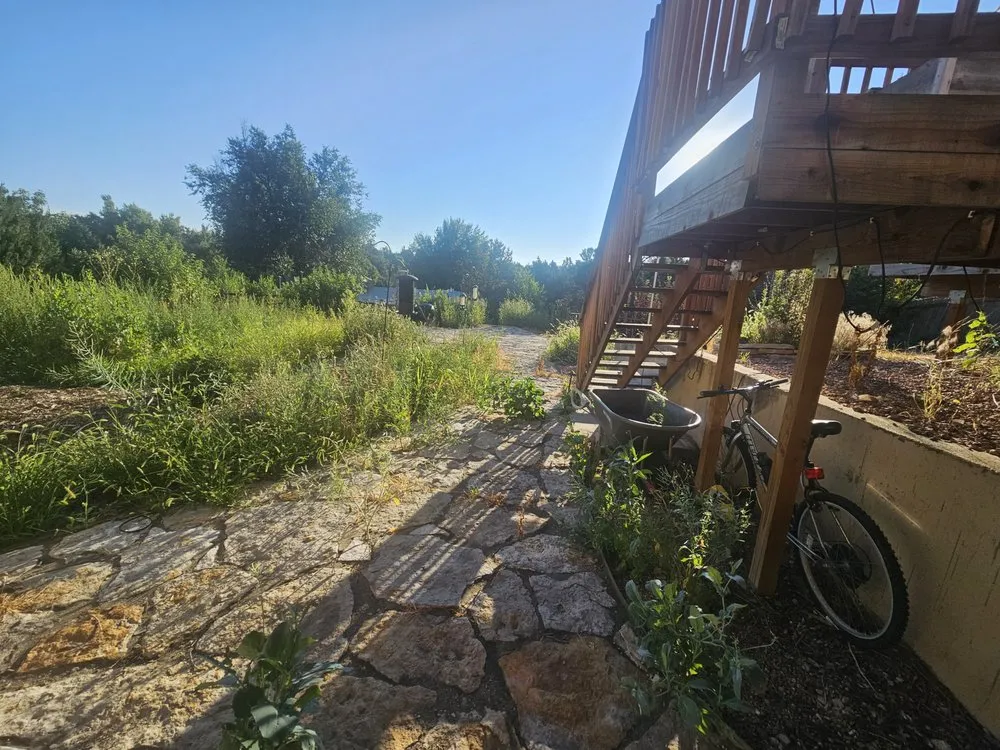 Top-rated lawn care service in Centennial, CO - Weed Man