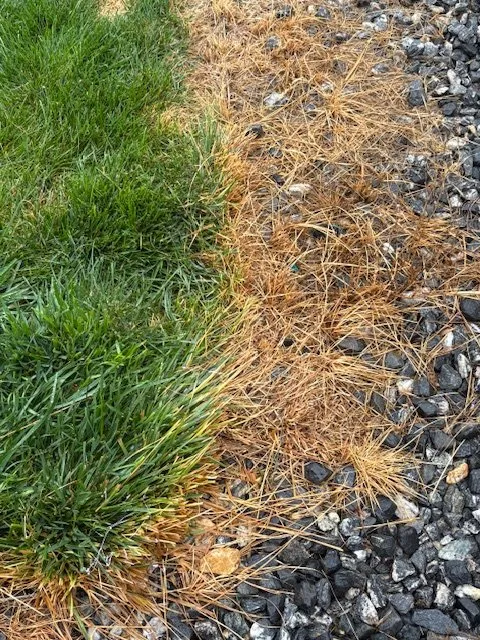 Reliable garden landscaping in Centennial, CO by Weed Man