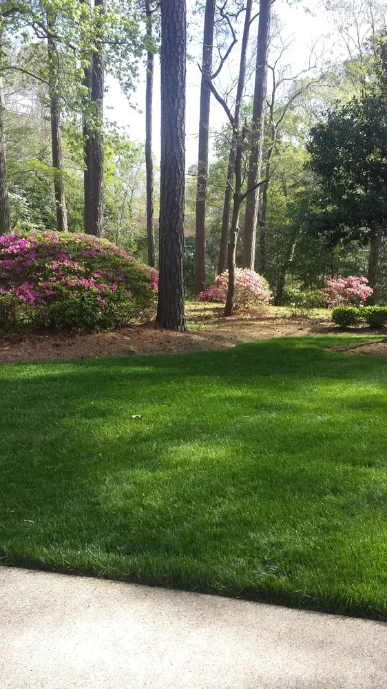 Trusted residential landscaping in Chesapeake, VA - Weed Man