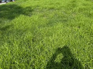 Reliable yard maintenance near you across Cuddy, PA - Weed Man