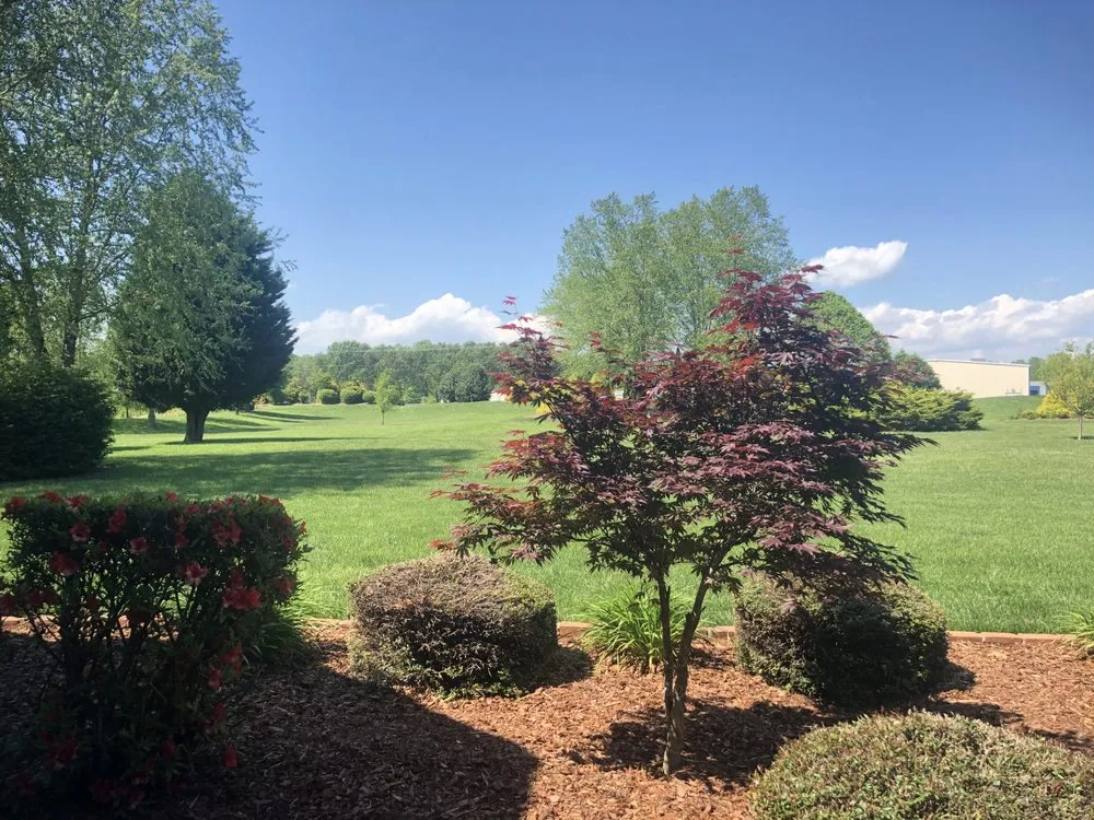 Custom yard cleanup service experts serving Denver, NC - Weed Man