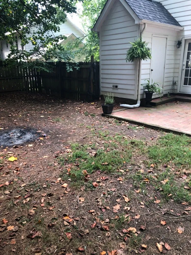 Expert outdoor landscaping for year-round maintenance in Denver, NC by Weed Man