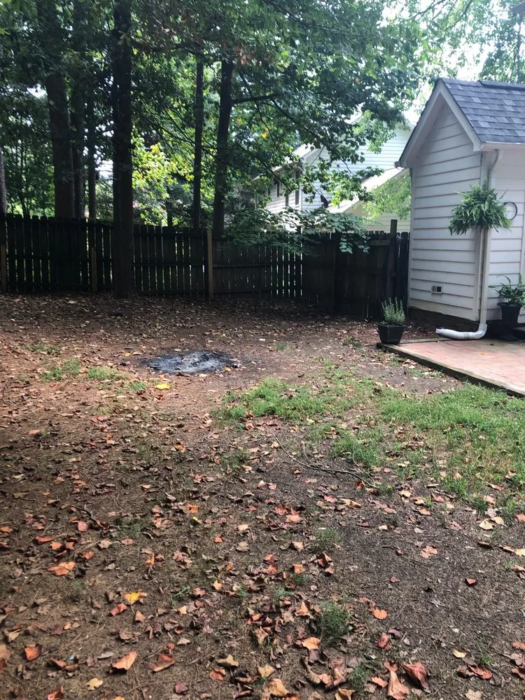 Top-rated yard maintenance in Denver, NC - Weed Man