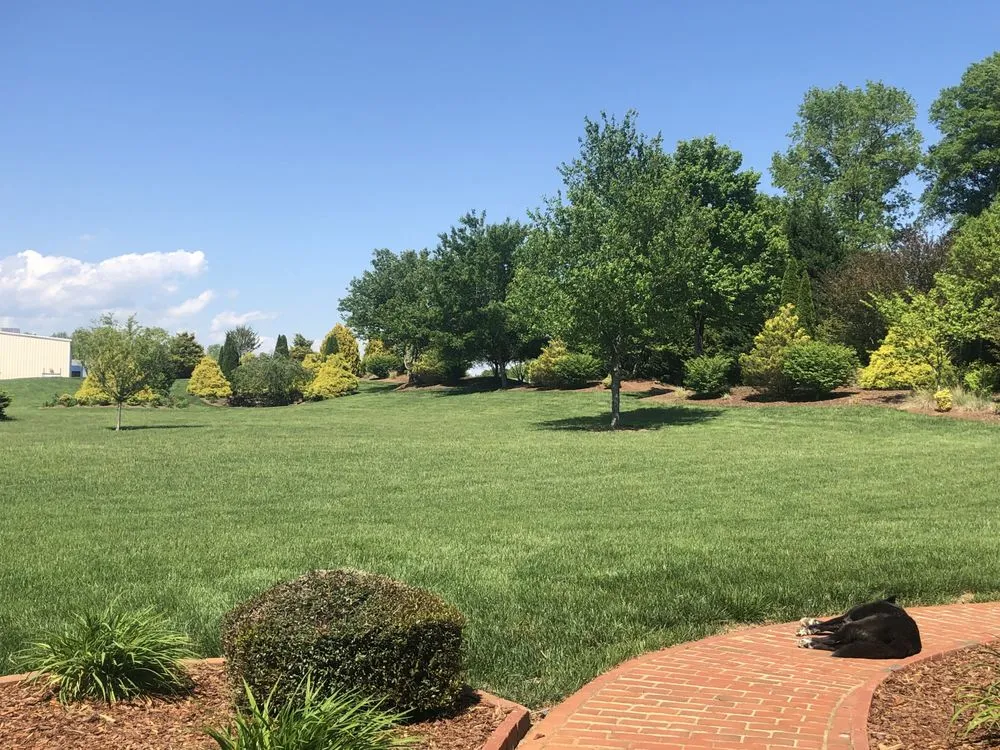 Trusted lawn mowing service experts serving Denver, NC - Weed Man