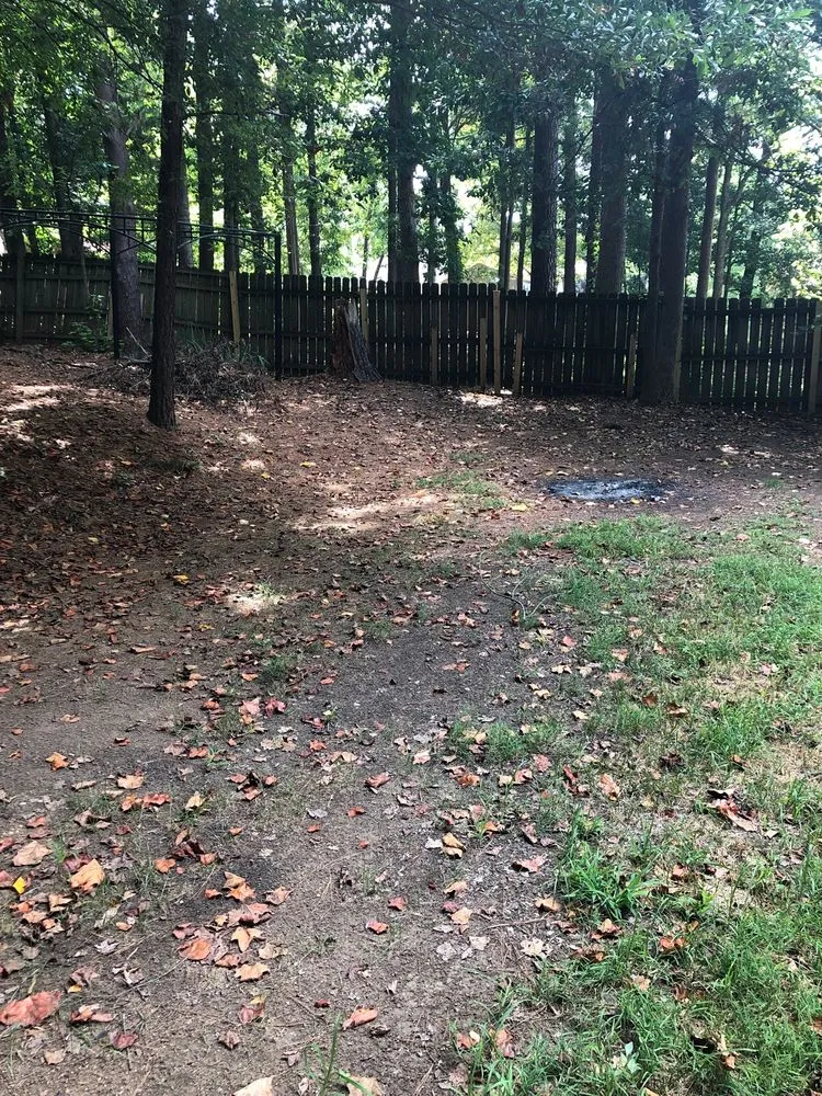 Local landscape design for homes in Denver, NC by Weed Man