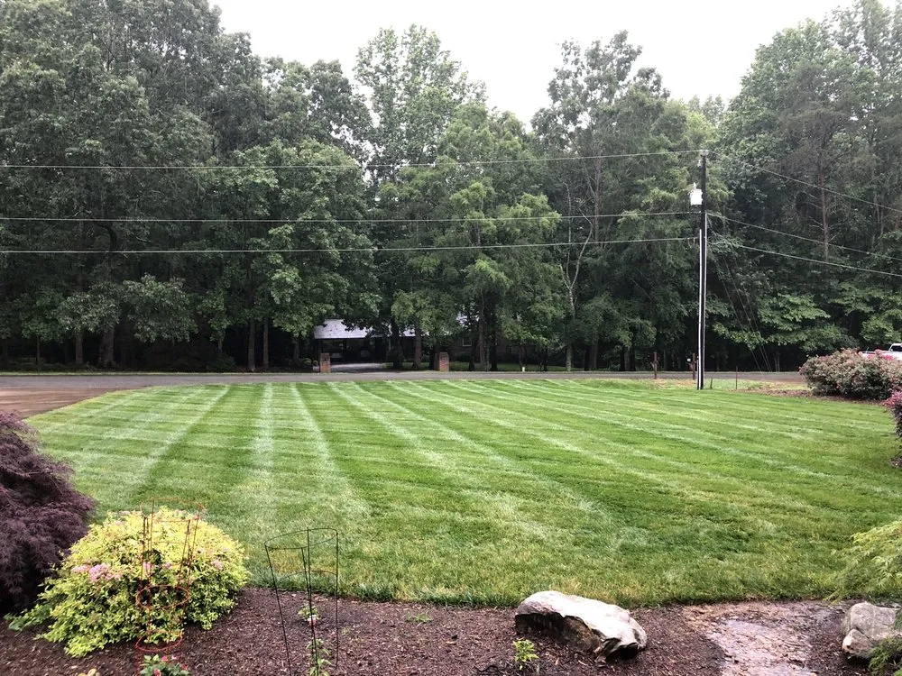 Professional yard cleanup service with custom design in Denver, NC by Weed Man