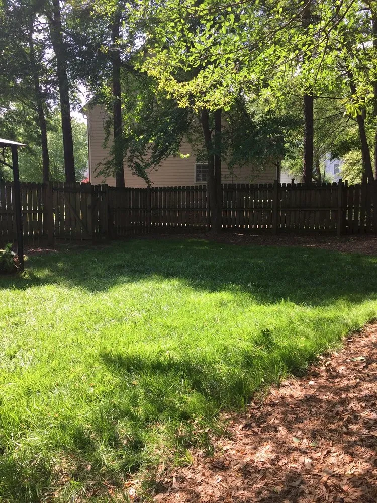 Professional yard cleanup service in Denver, NC by Weed Man