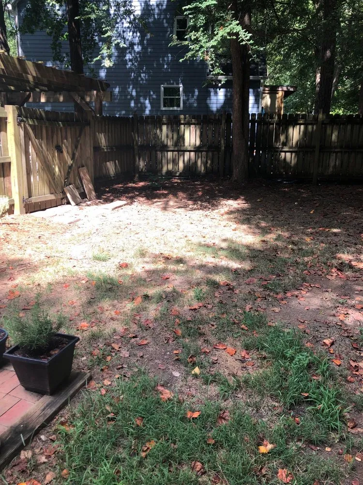 Top-rated lawn mowing service near you across Denver, NC - Weed Man