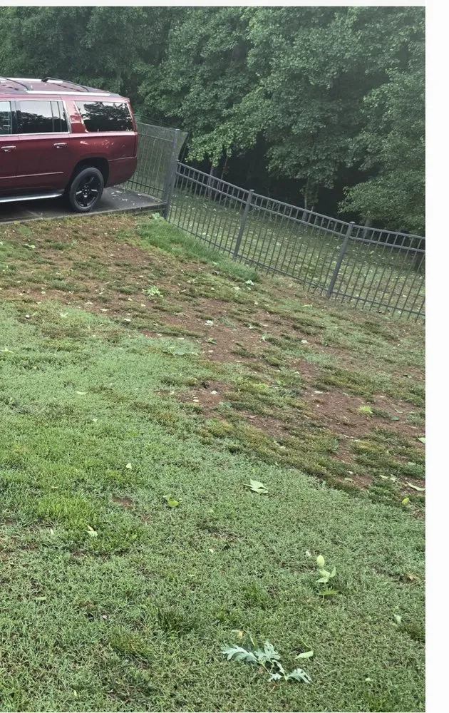 Affordable garden landscaping in Denver, NC - Weed Man