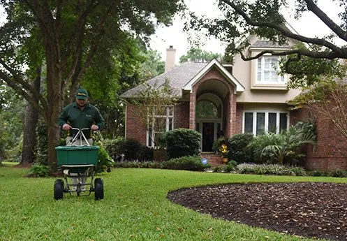 Trusted lawn care service in Denver, NC - Weed Man
