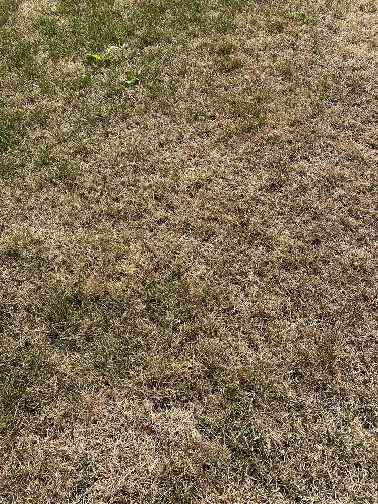 Professional residential landscaping with custom design in East Dundee, IL by Weed Man