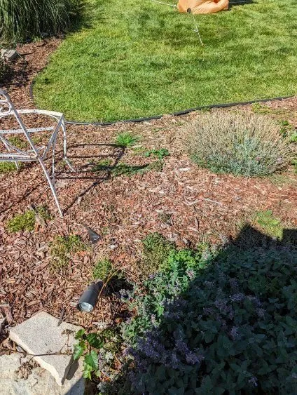 Custom yard maintenance for homes across East Dundee, IL - Weed Man