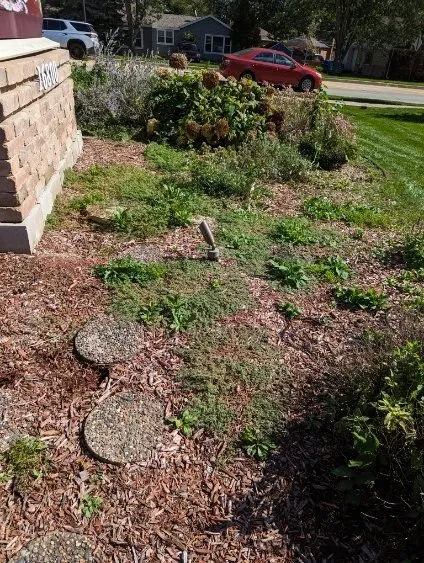 Affordable residential landscaping for residential properties across East Dundee, IL - Weed Man