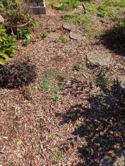 Expert outdoor landscaping for outdoor upgrades in East Dundee, IL by Weed Man