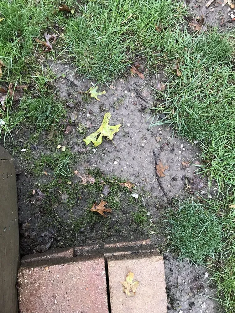 Affordable outdoor landscaping for residential properties across East Dundee, IL - Weed Man