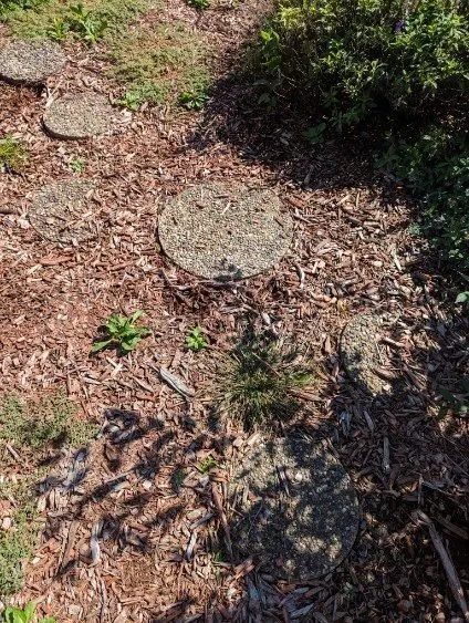 Reliable landscaping services in East Dundee, IL - Weed Man