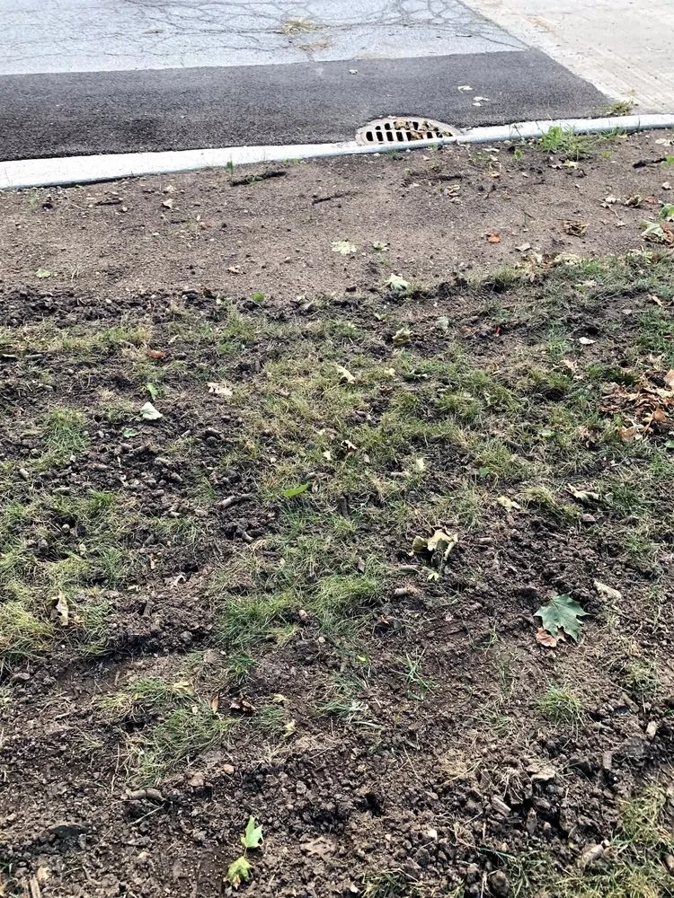 Top-rated outdoor landscaping experts serving East Dundee, IL - Weed Man