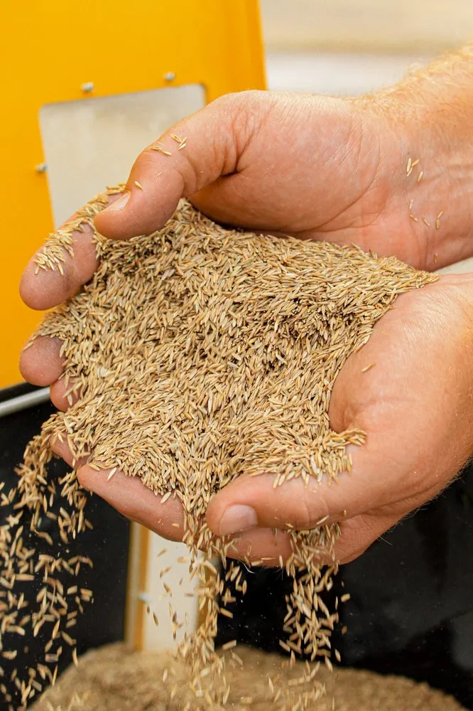 Professional landscaping services experts serving Evansville, IN - Weed Man