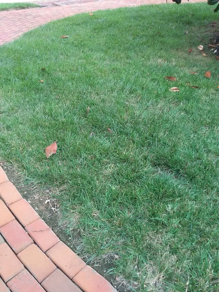 Professional yard cleanup service for beautiful yards across Fairfax, VA - Weed Man