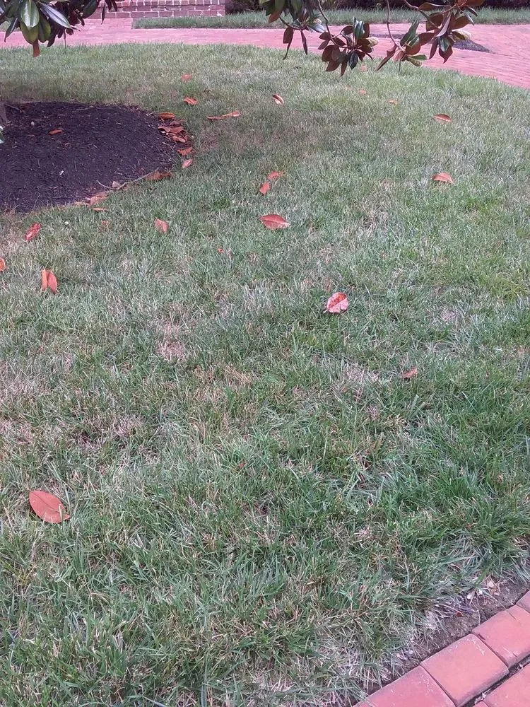 Trusted landscape design in Fairfax, VA by Weed Man